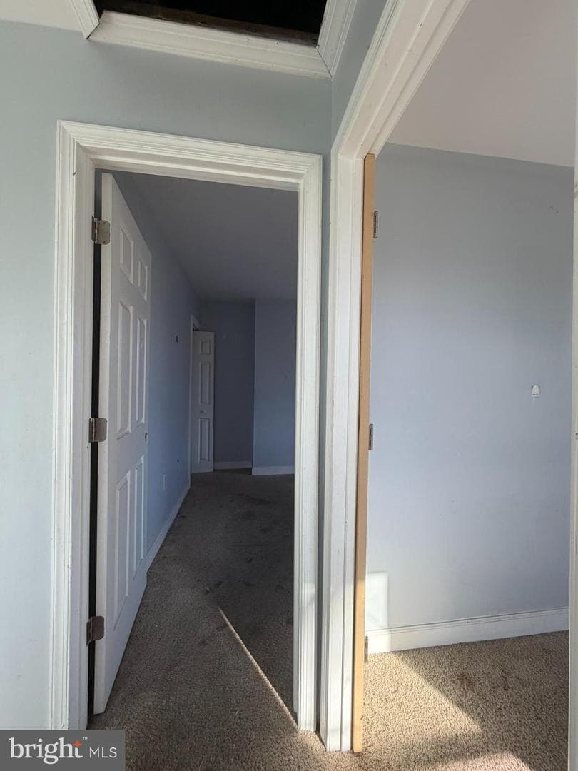 3830 Brooklyn Avenue photo 22