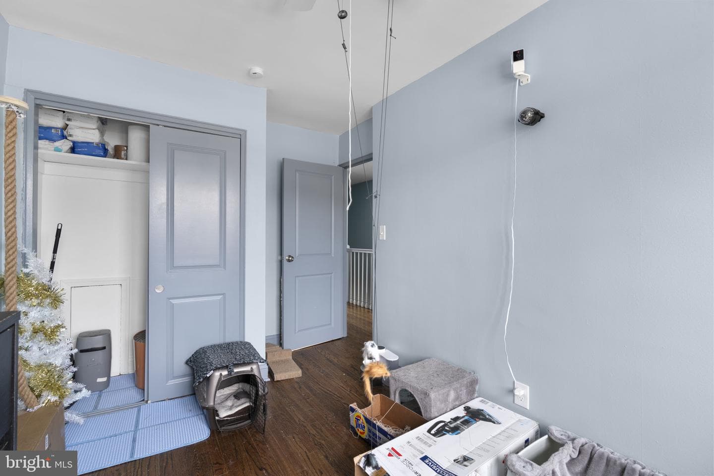 514 Umbra Street photo 23