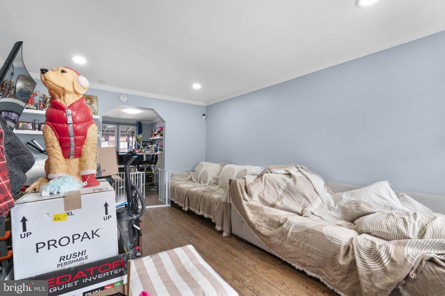 514 Umbra Street photo 6