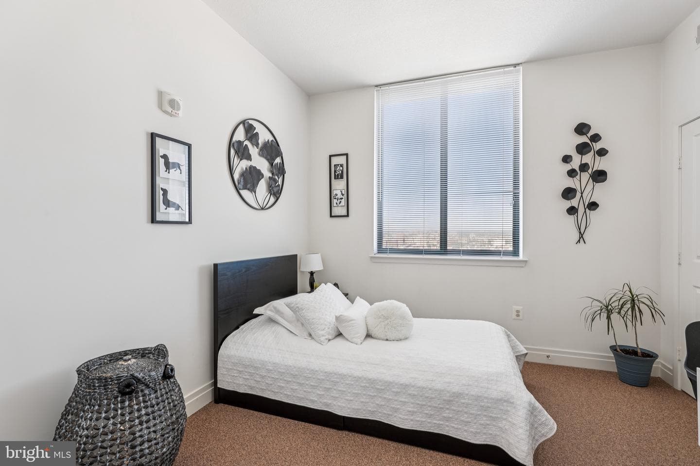 414 Water Street #3006 photo 4