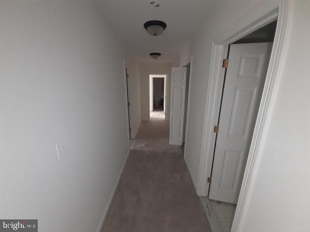 10 E Lee Street #1002-1003 photo 23
