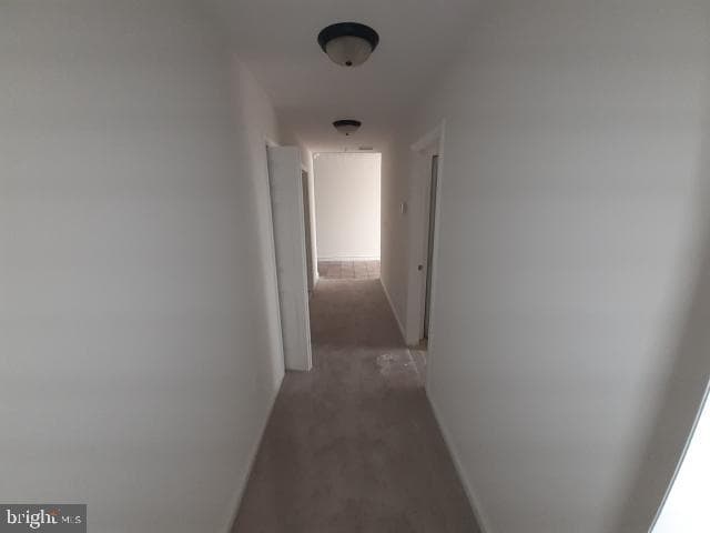 10 E Lee Street #1002-1003 photo 30