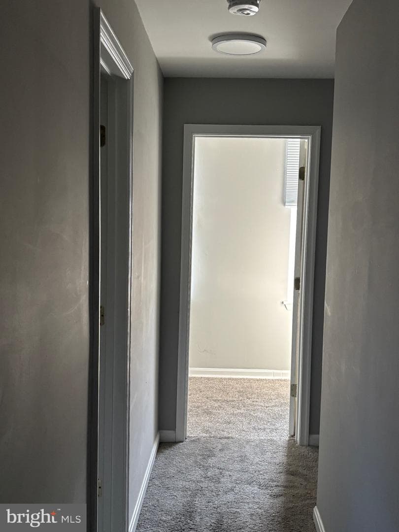 1612 W Lexington Street photo 21