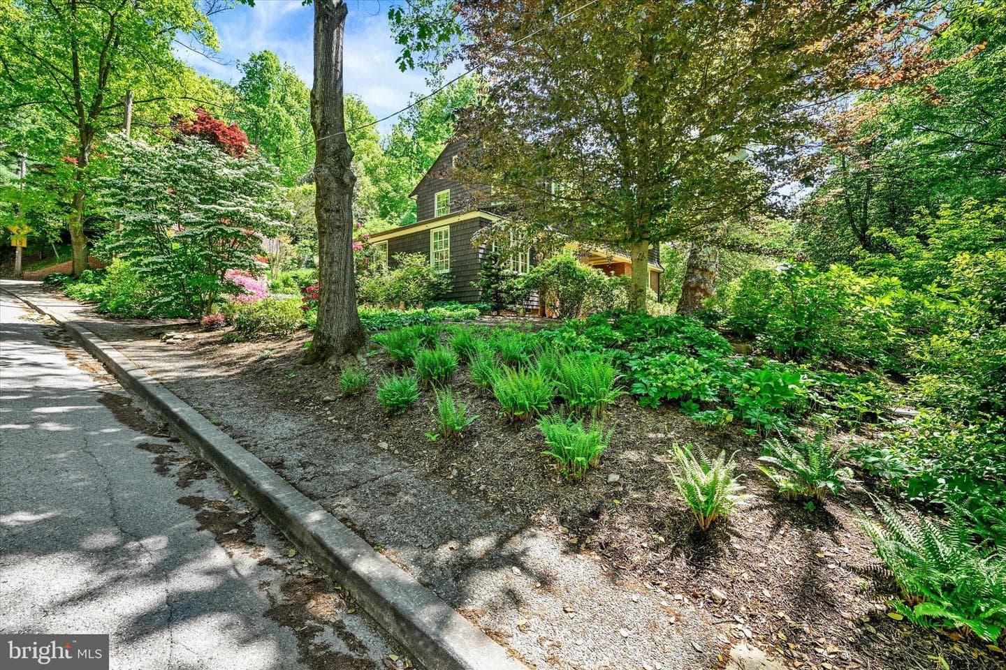 511 Edgevale Road photo 38
