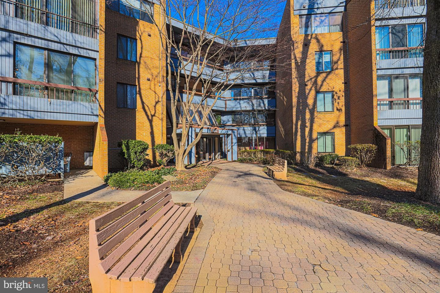 6350 Red Cedar Place #204 photo 3