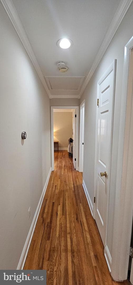 5806 N Charles Street photo 16