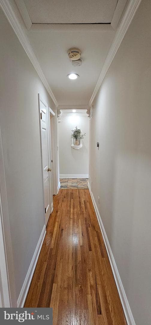 5806 N Charles Street photo 24
