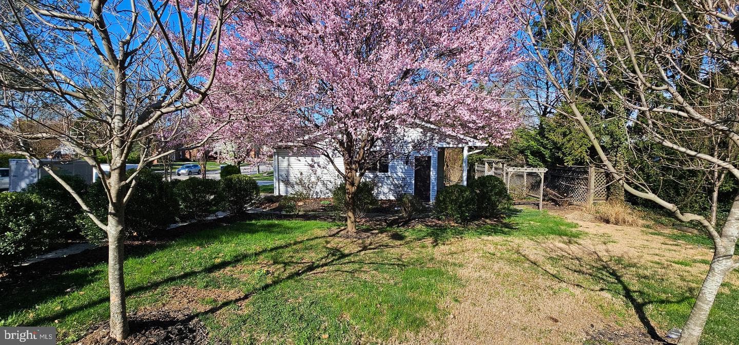 5806 N Charles Street photo 37