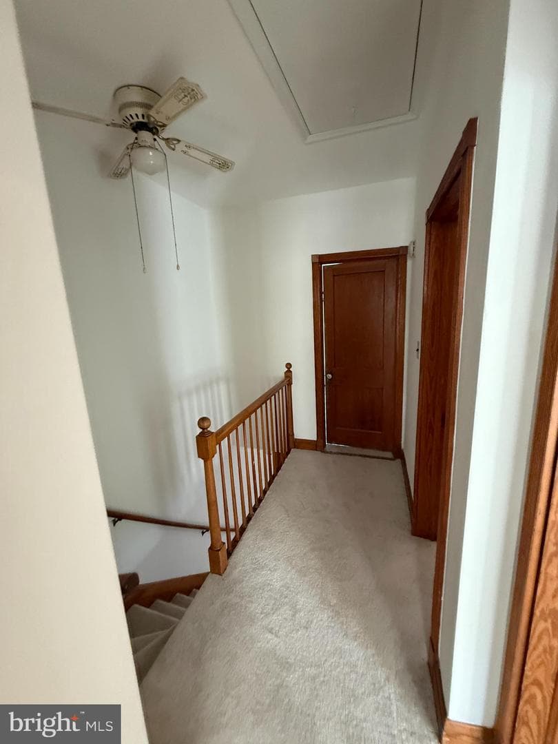 4100 Kinsway photo 5