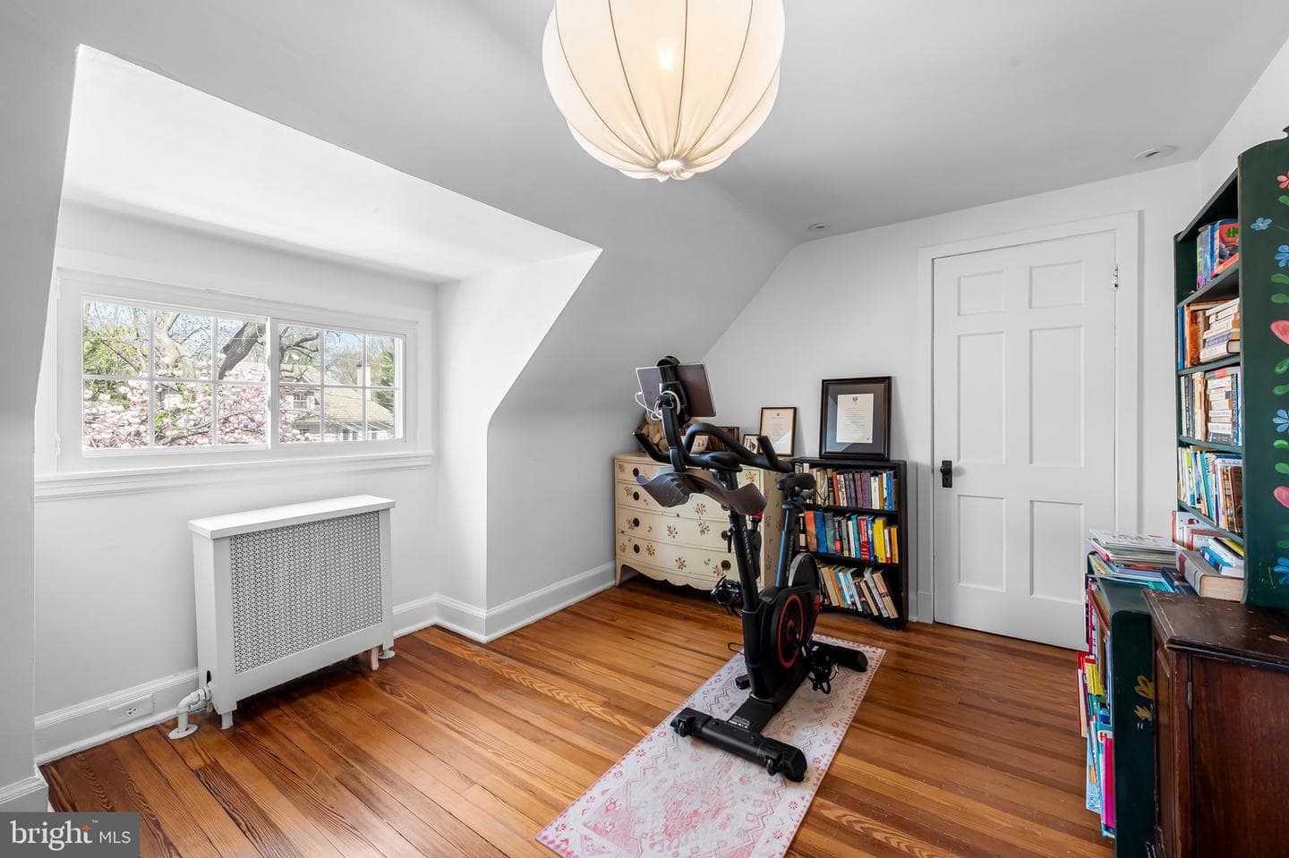222 Homewood Terrace photo 46
