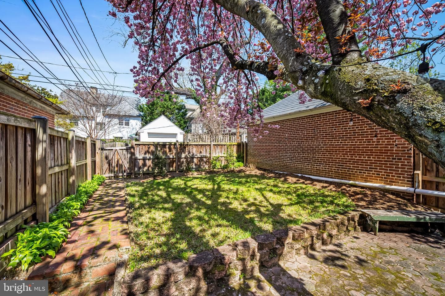 222 Homewood Terrace photo 53