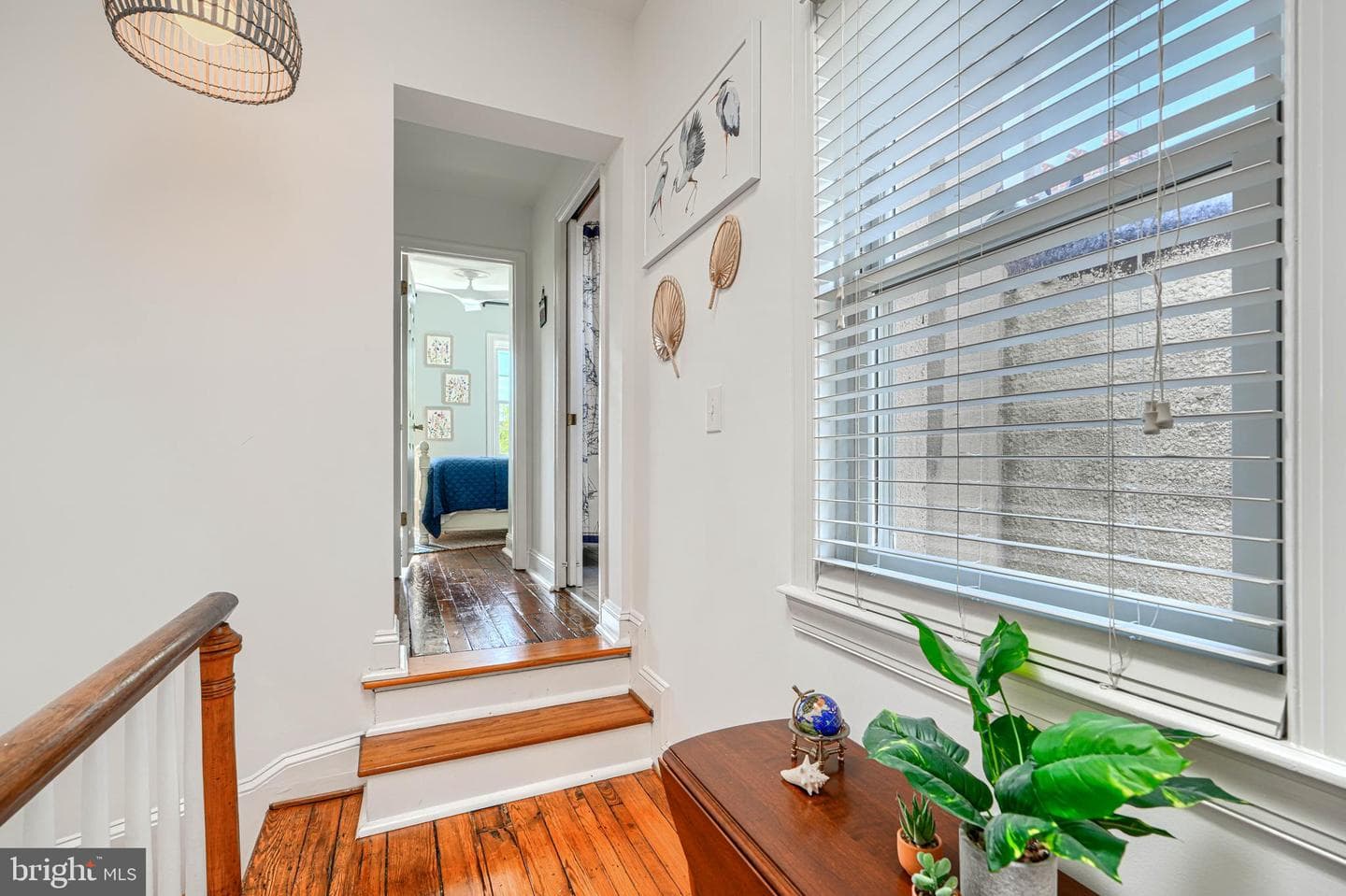 811 William Street photo 28