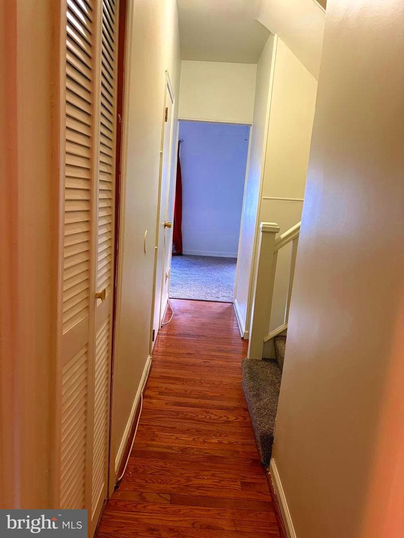 3642 Malden Avenue photo 18