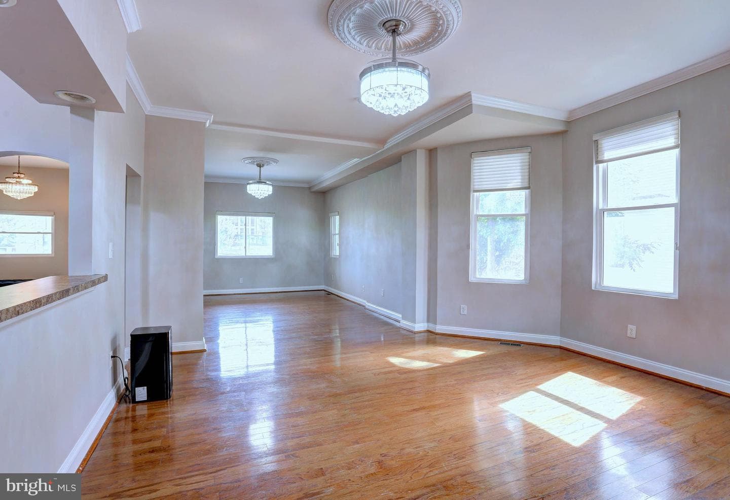 4507 Maine Avenue photo 25