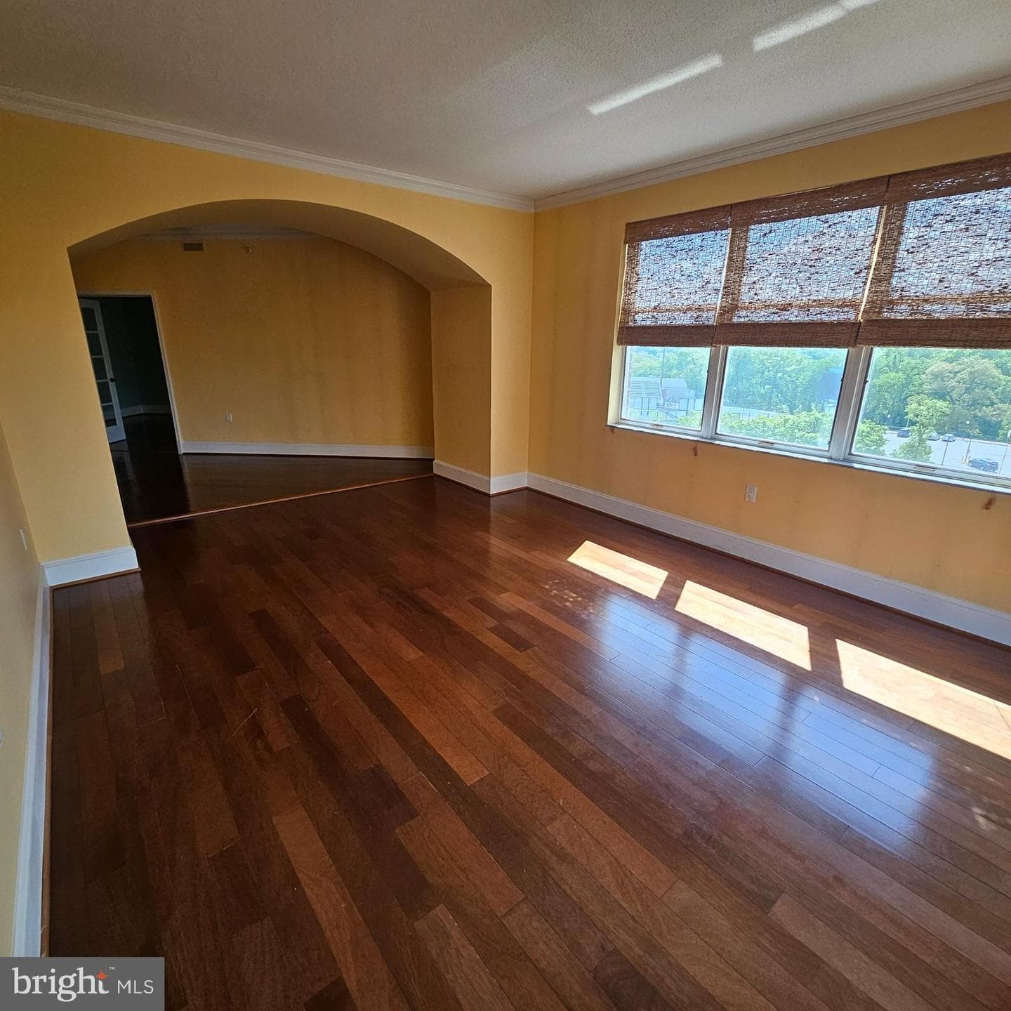 3801 Canterbury Road #618 photo 8