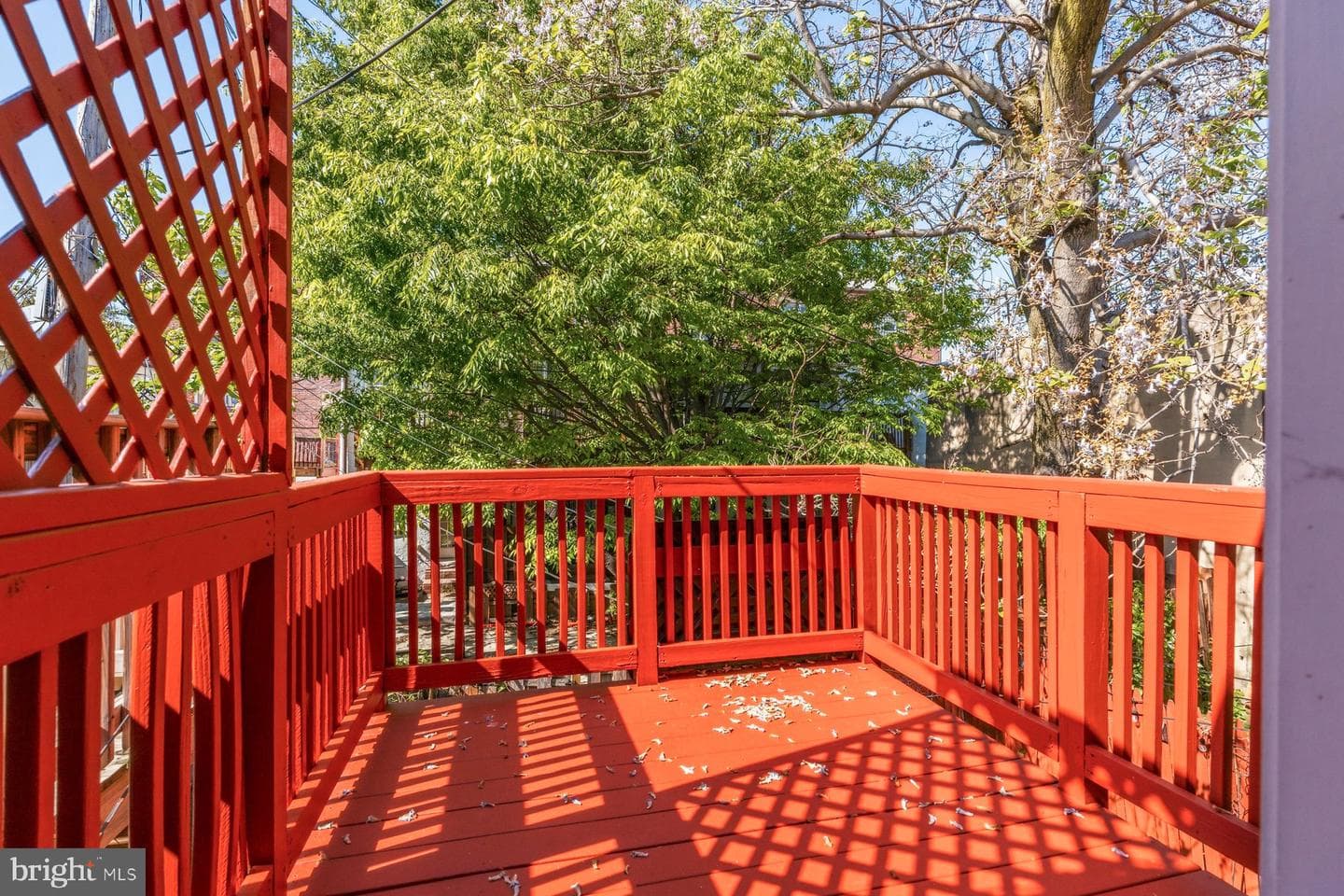868 Carroll Street photo 22