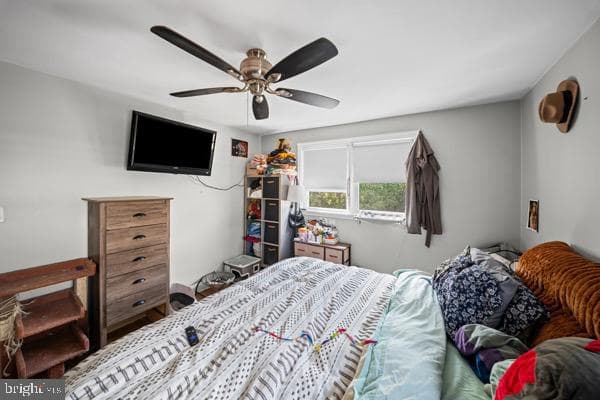 3503 Richmond Avenue photo 17