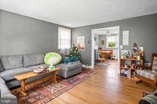 3503 Richmond Avenue photo 5