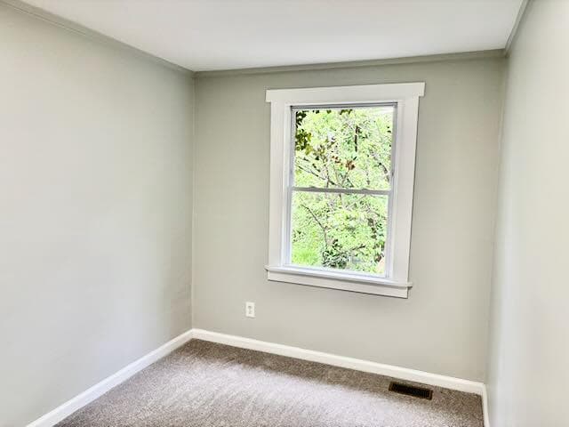 3013 Elizabeth Avenue photo 7