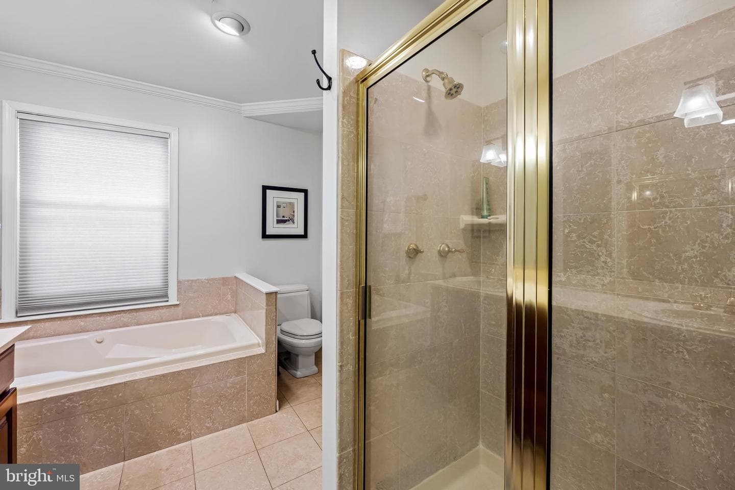 829 William Street photo 27