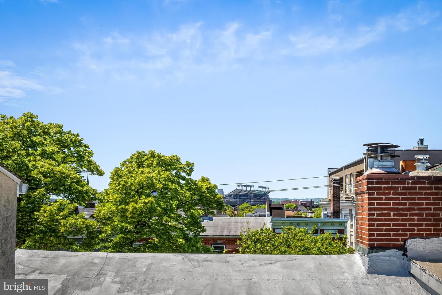 829 William Street photo 40