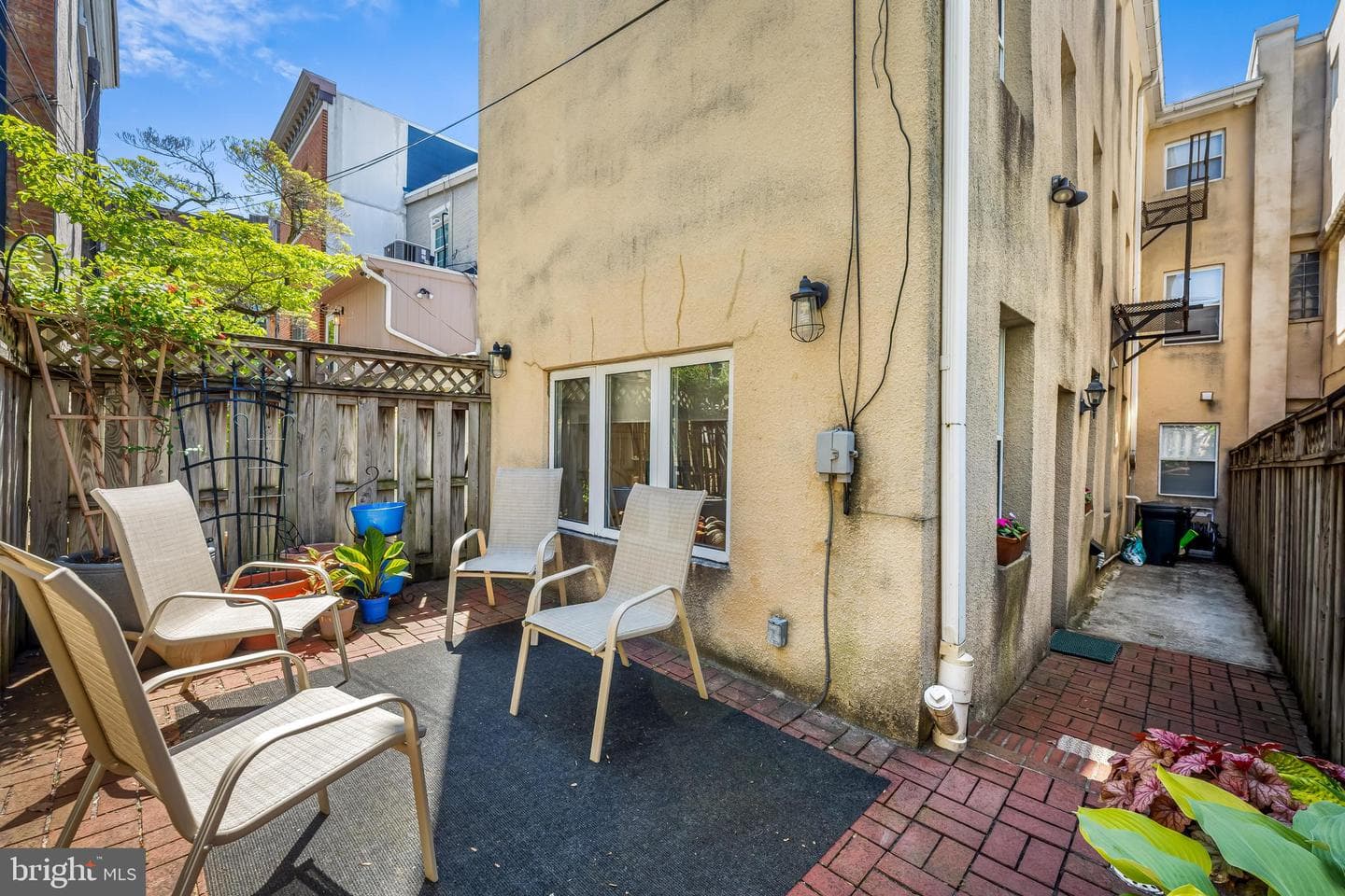 829 William Street photo 42