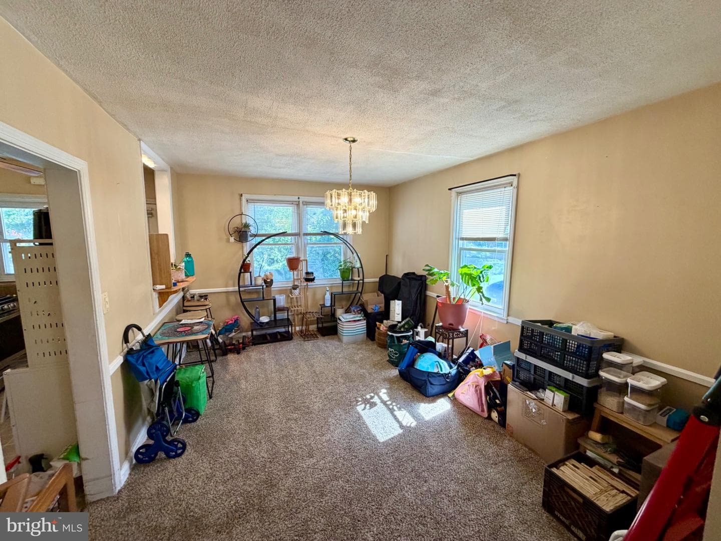 601 Braeside Road photo 4
