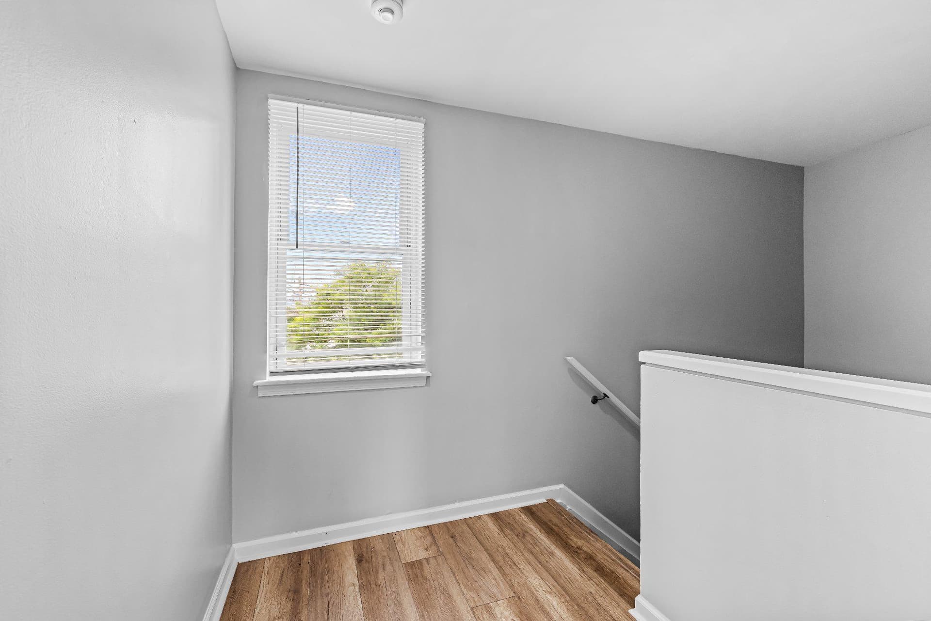1123 Hollins Street photo 34