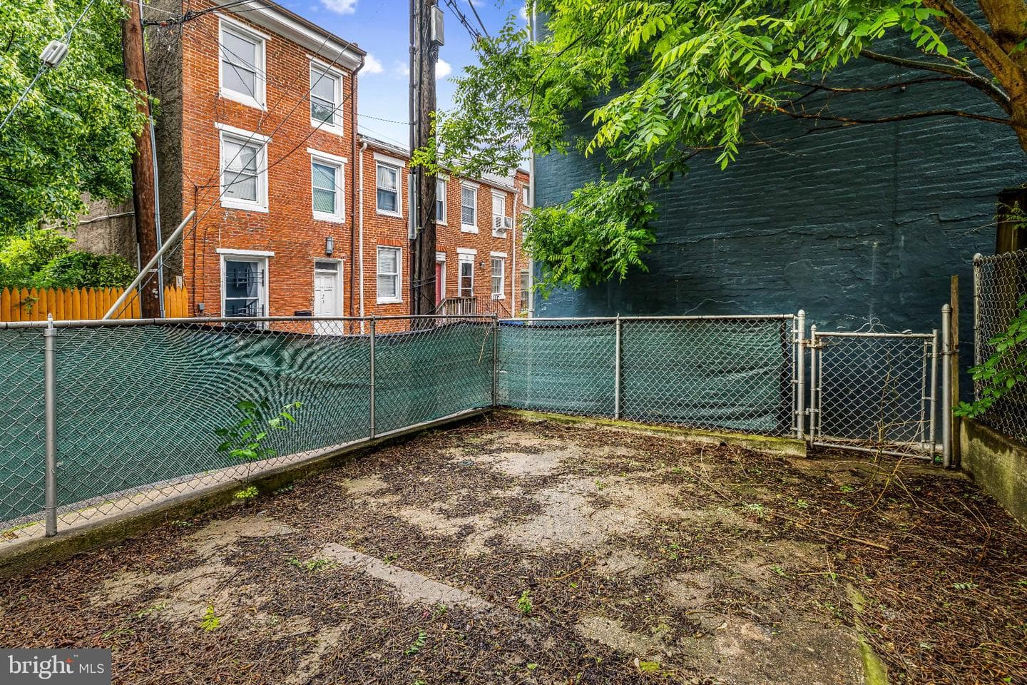1123 Hollins Street photo 38
