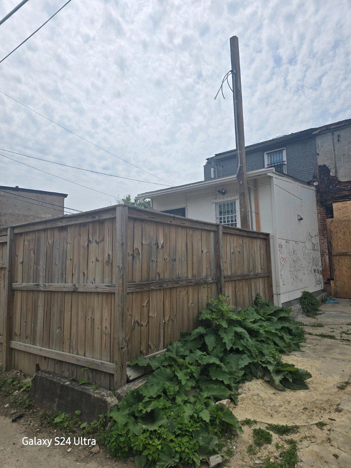 1828 Wilhelm Street photo 15