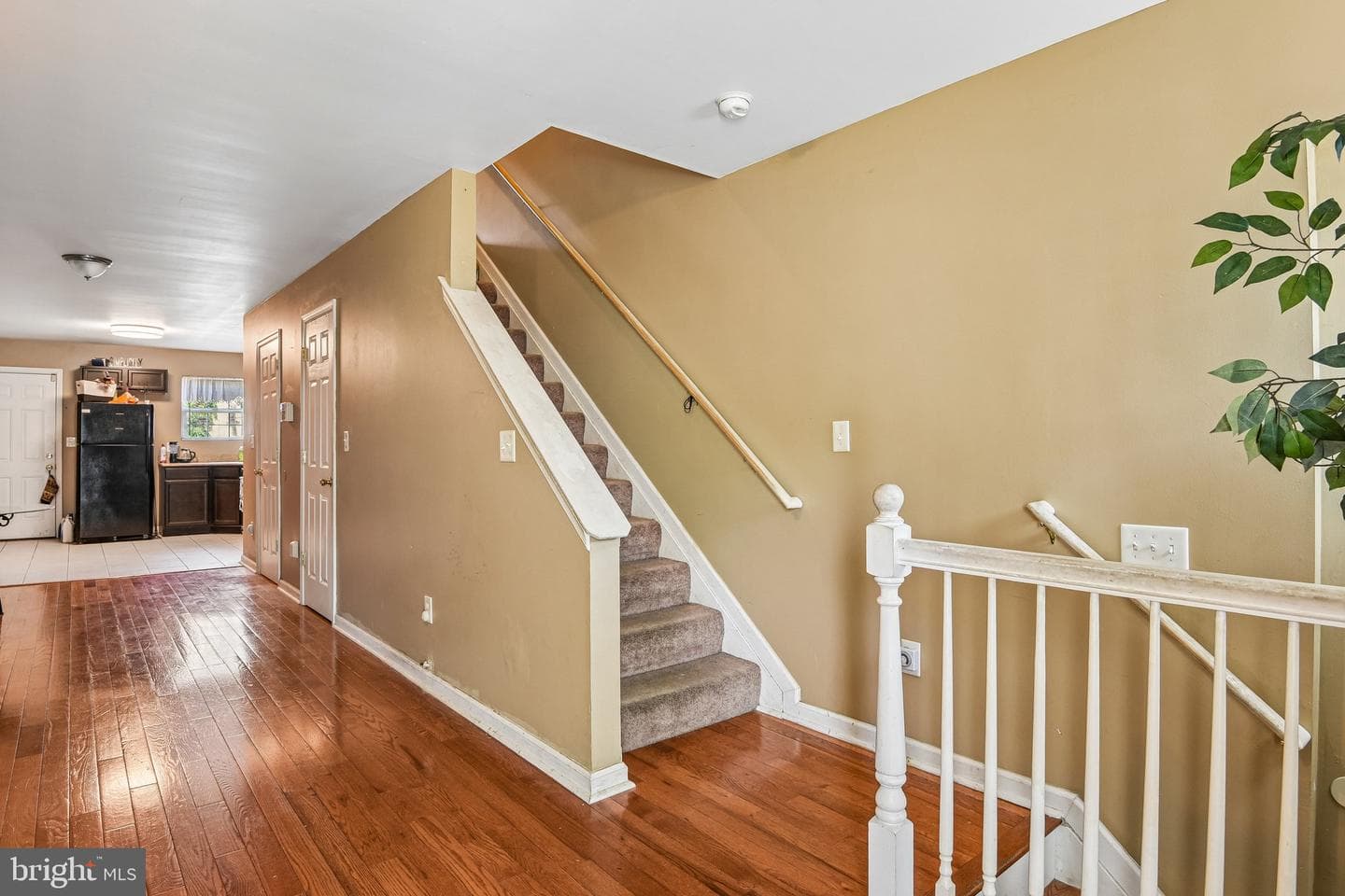 408 E Federal Street photo 9