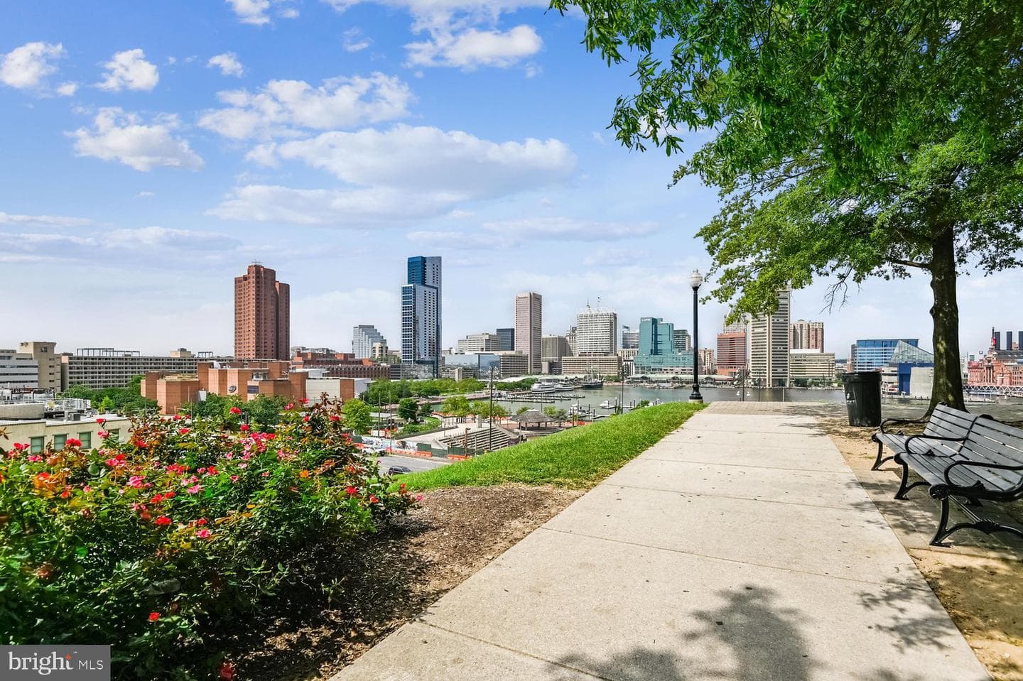 1003 Covington Street photo 68