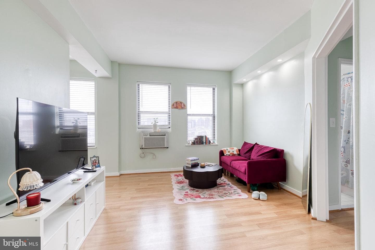 1001 Saint Paul Street #9f photo 7