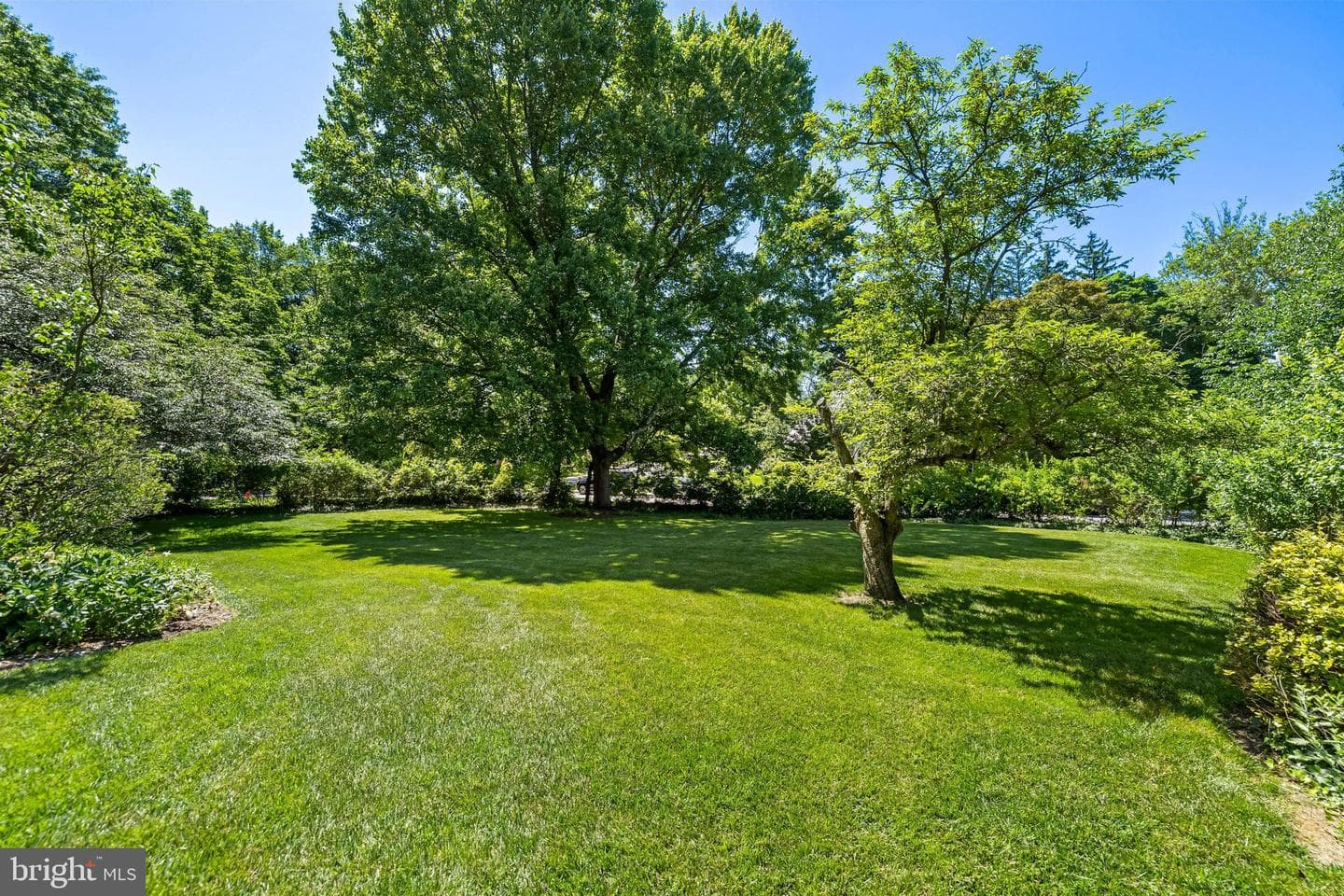 5310 Saint Albans Way photo 77