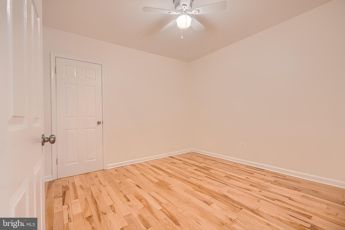 209 Scott Street photo 43