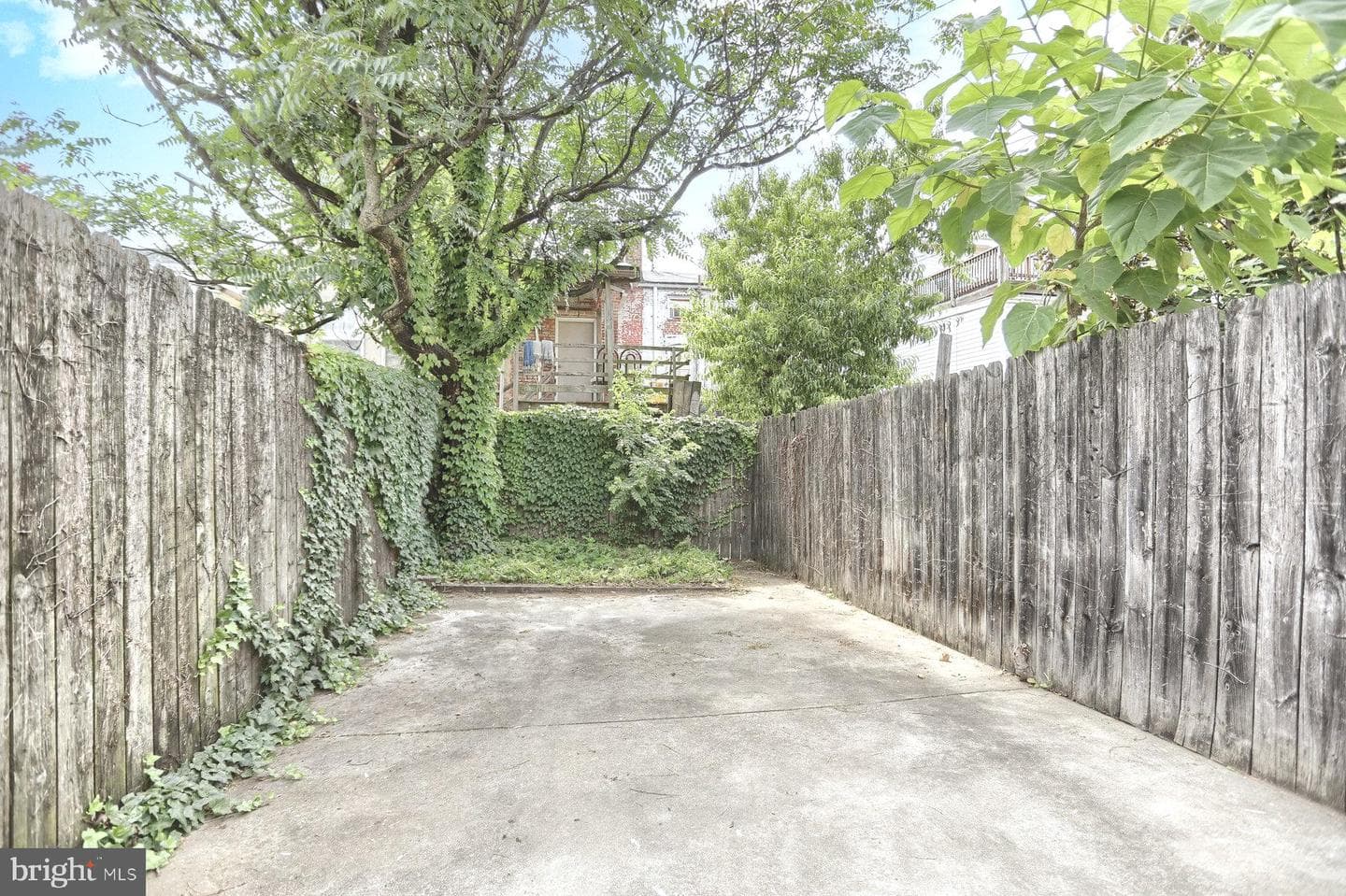 110 Ann Street photo 33
