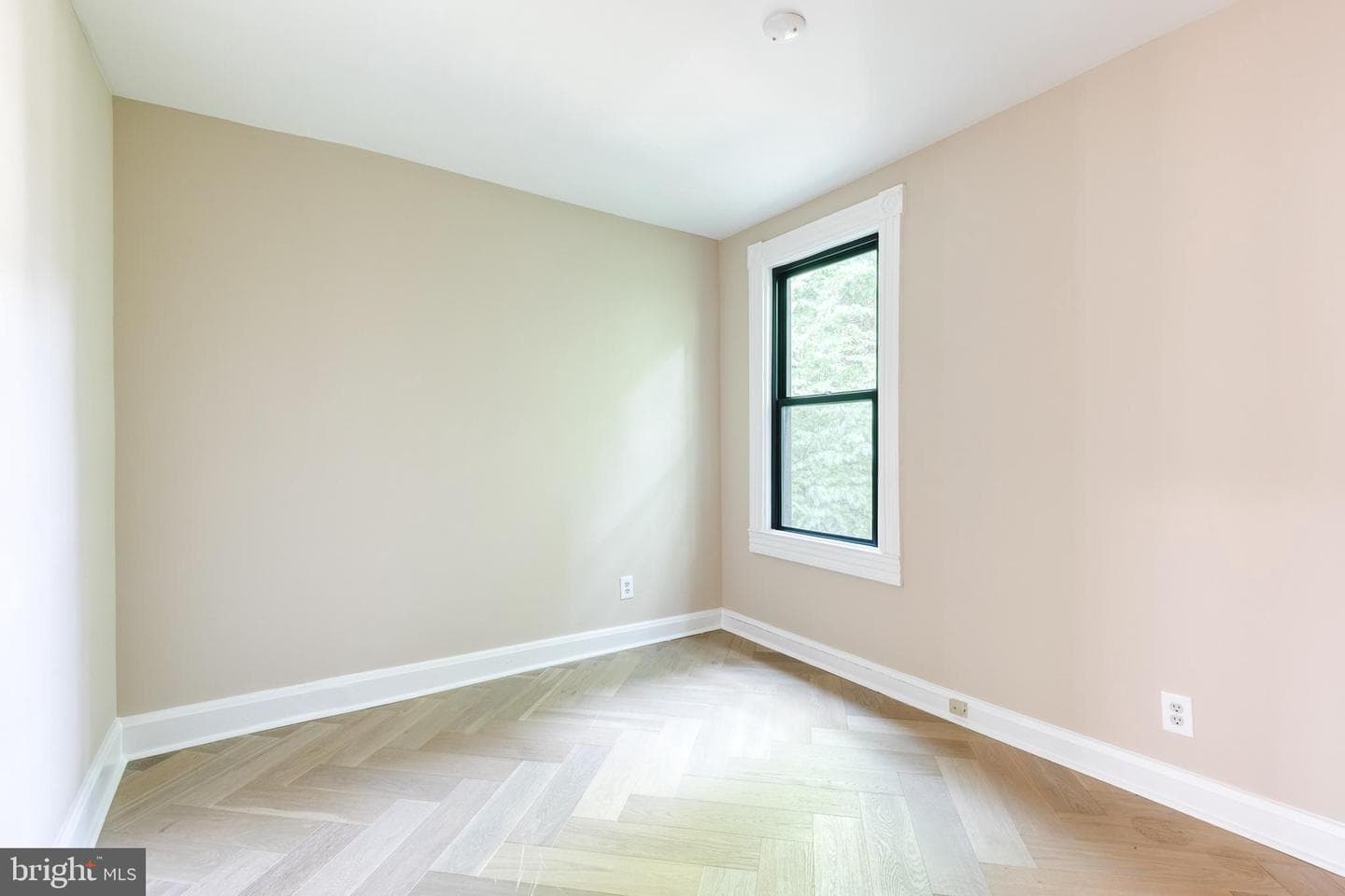 806 Homestead Street photo 22