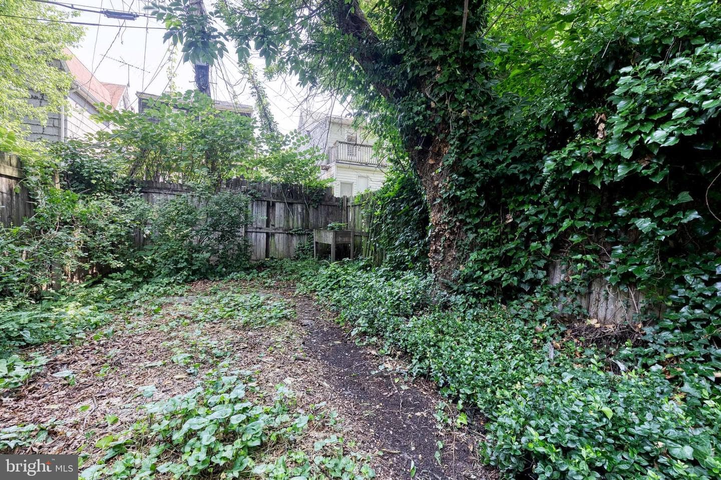 806 Homestead Street photo 32