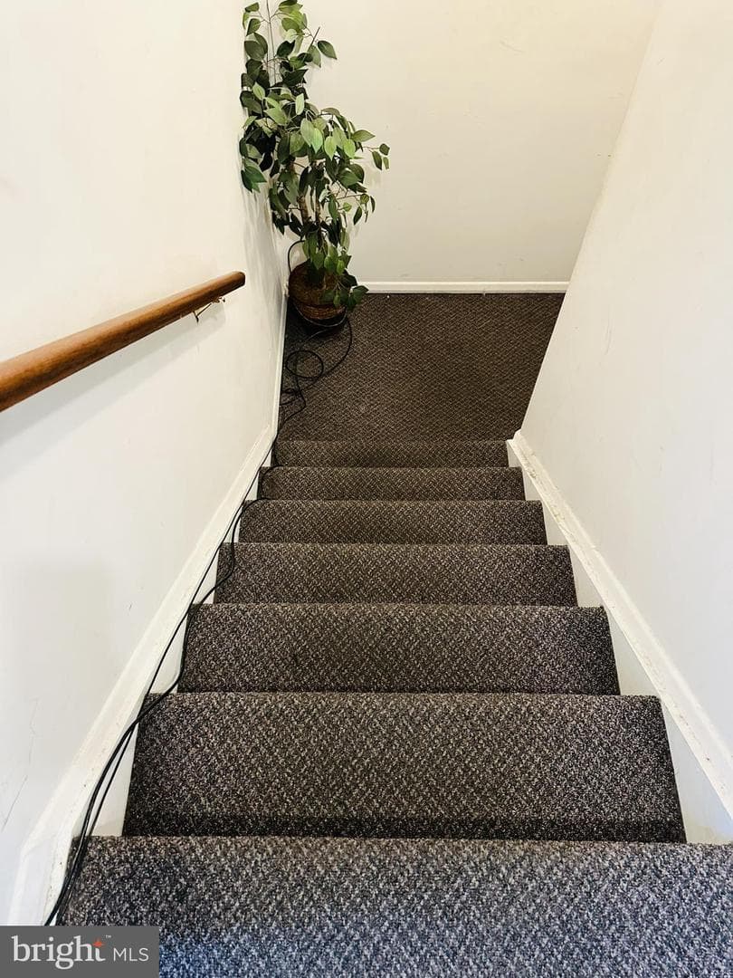 28 N Wolfe Street photo 11
