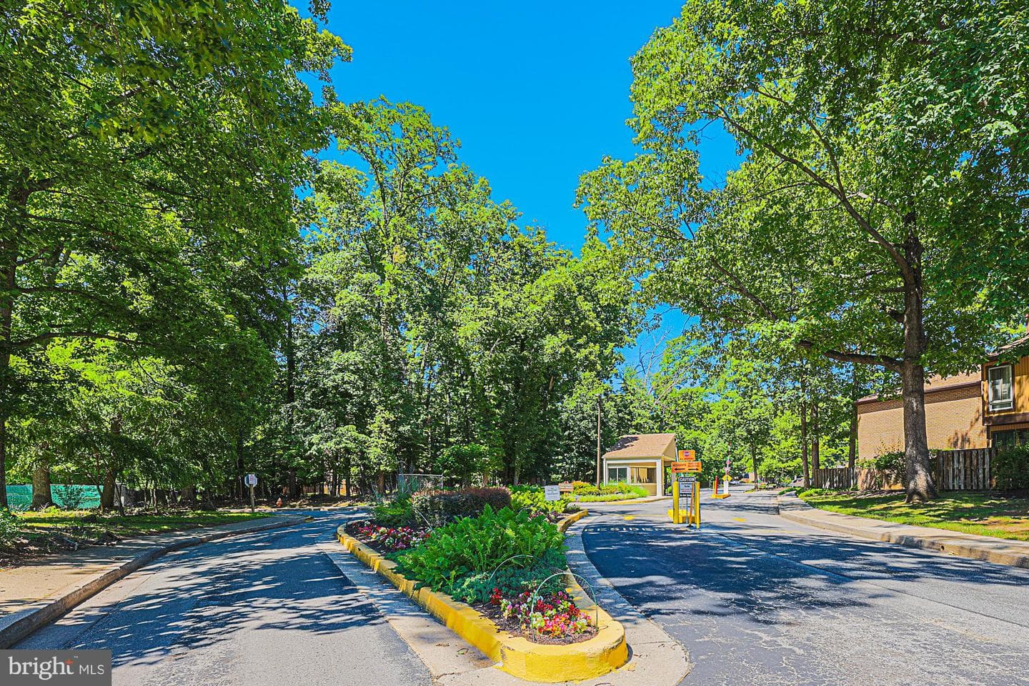 6300 Red Cedar Place #204 photo 3