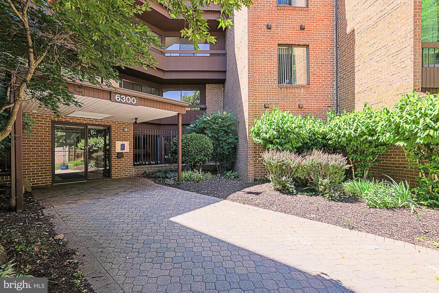 6300 Red Cedar Place #204 photo 6