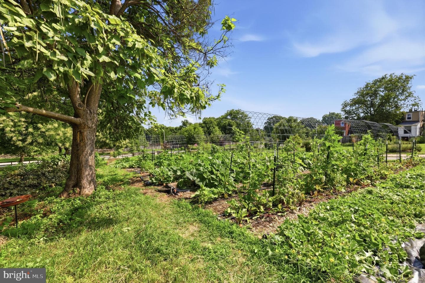 1308 Homewood Avenue photo 31