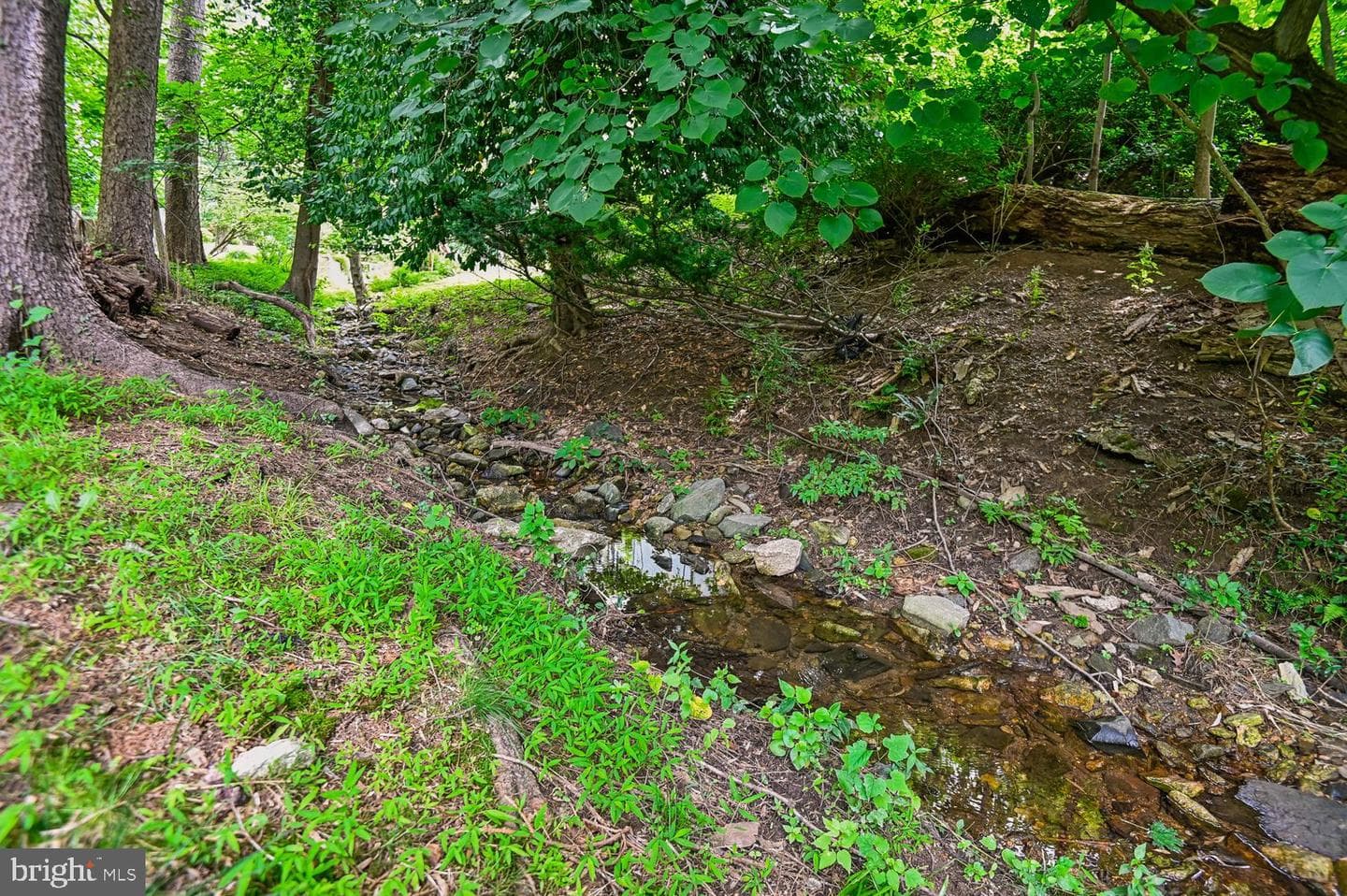 1110 Bryn Mawr Road photo 63