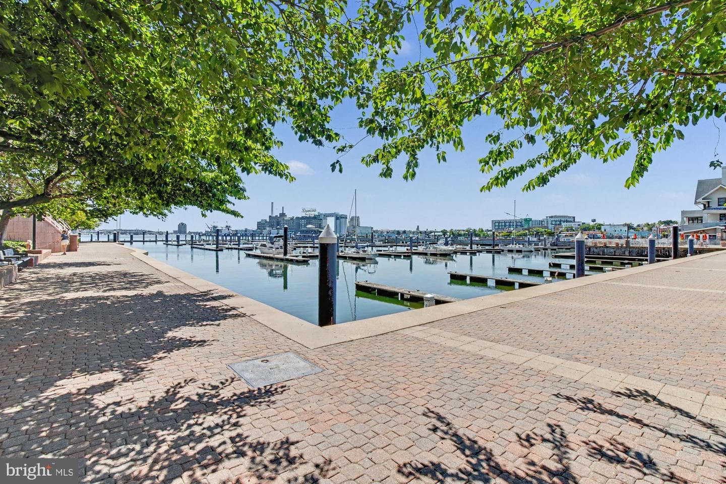100 Harborview Drive #705 photo 53