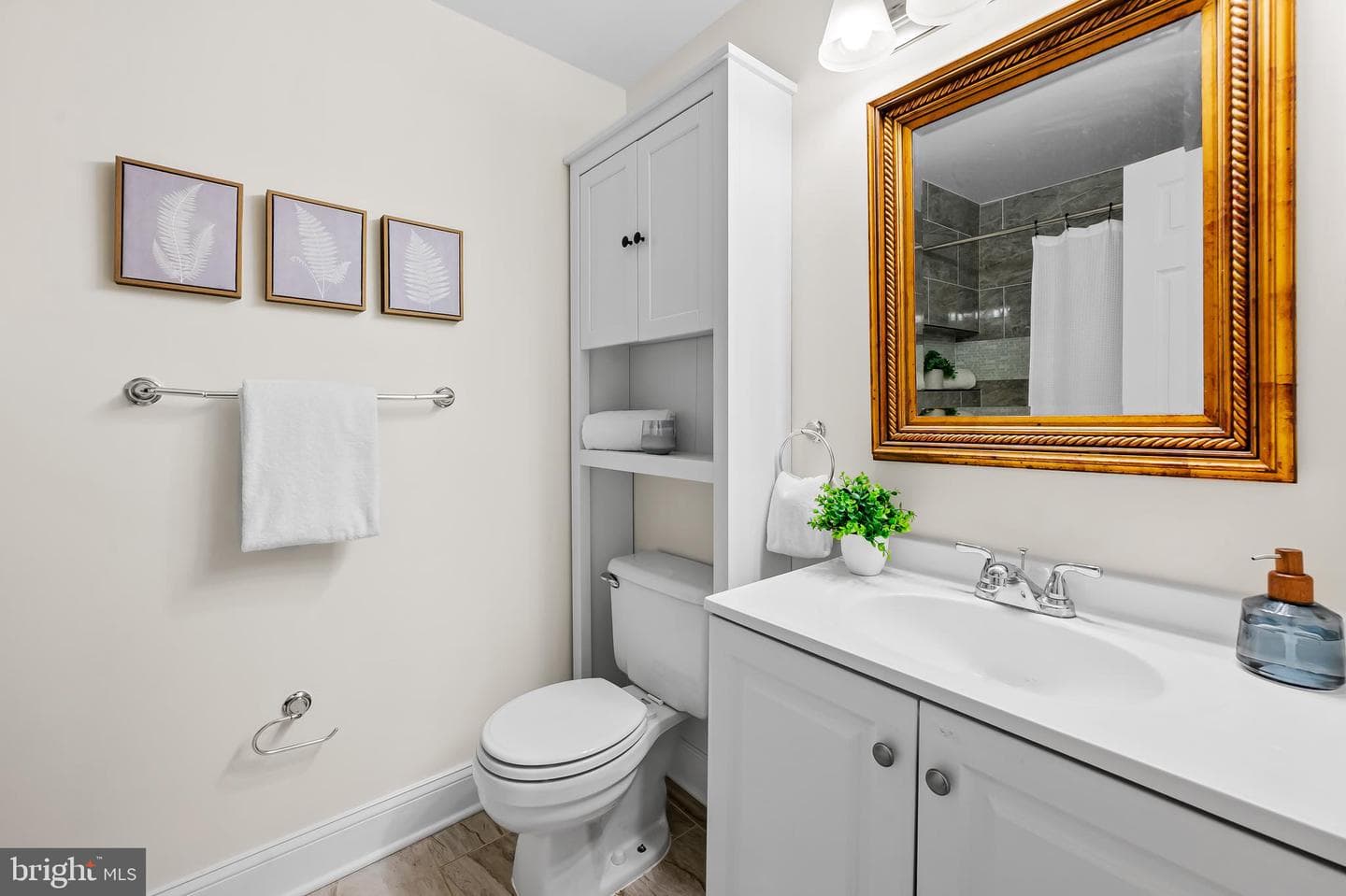 123 W Barre Street W #402 photo 13