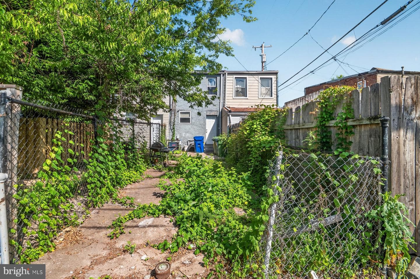 1119 Cleveland Street photo 6