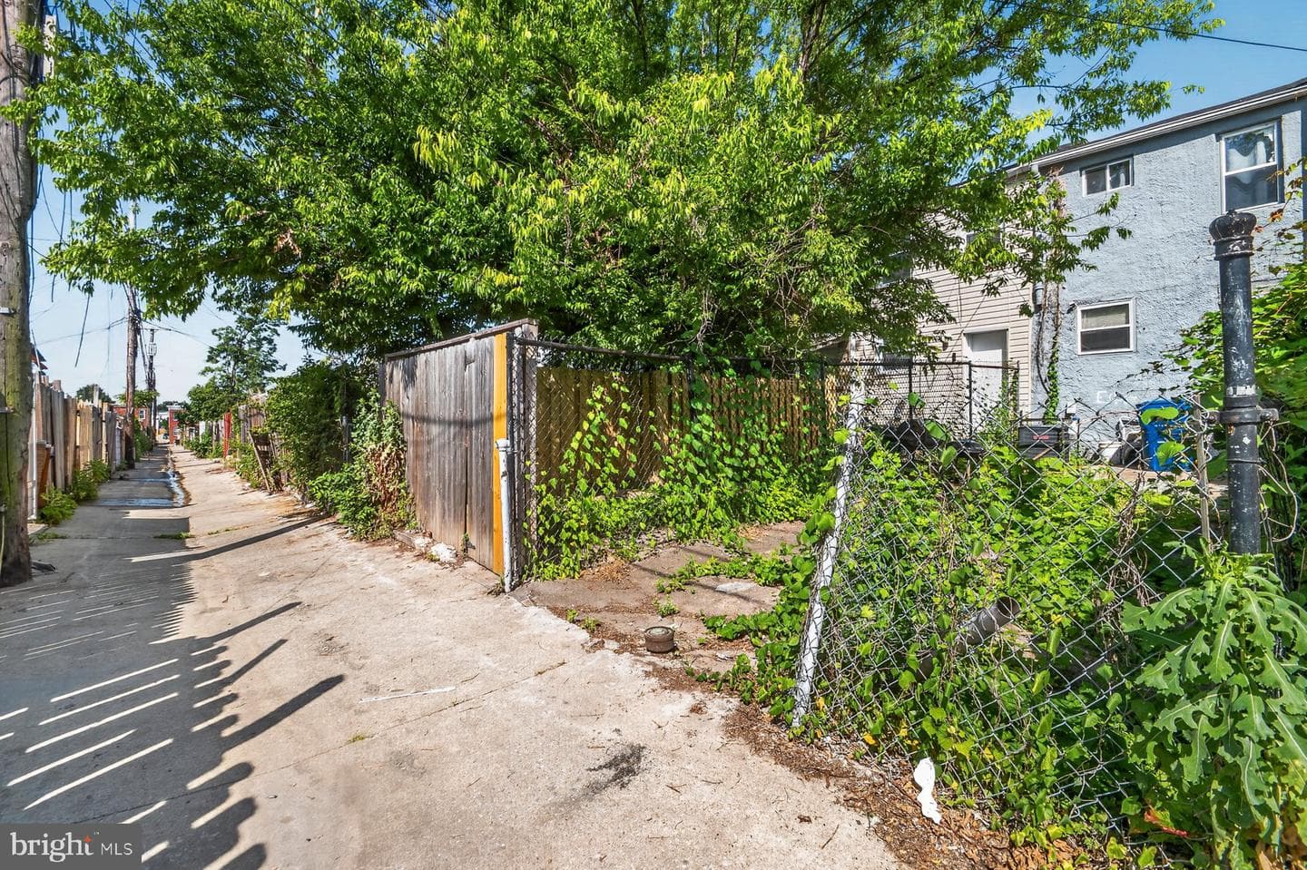 1119 Cleveland Street photo 8