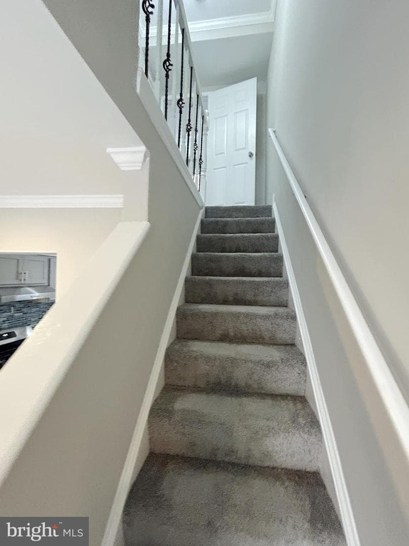 556 Gold Street photo 8