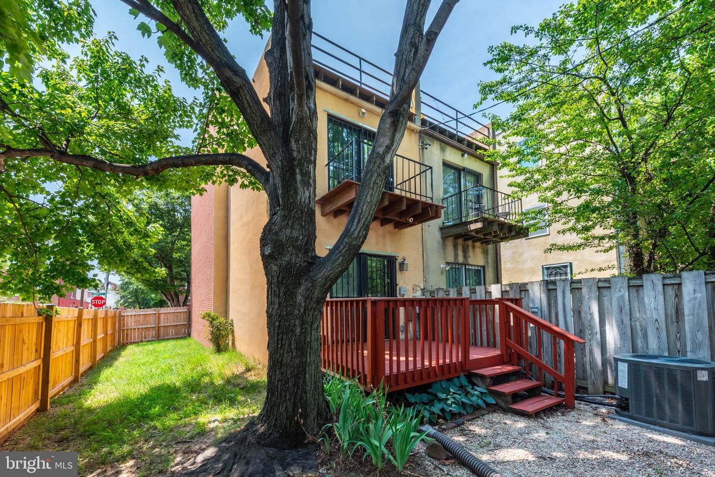 109 Scott Street photo 28