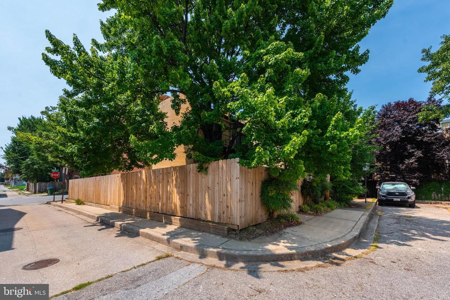 109 Scott Street photo 33
